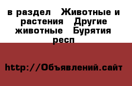  в раздел : Животные и растения » Другие животные . Бурятия респ.